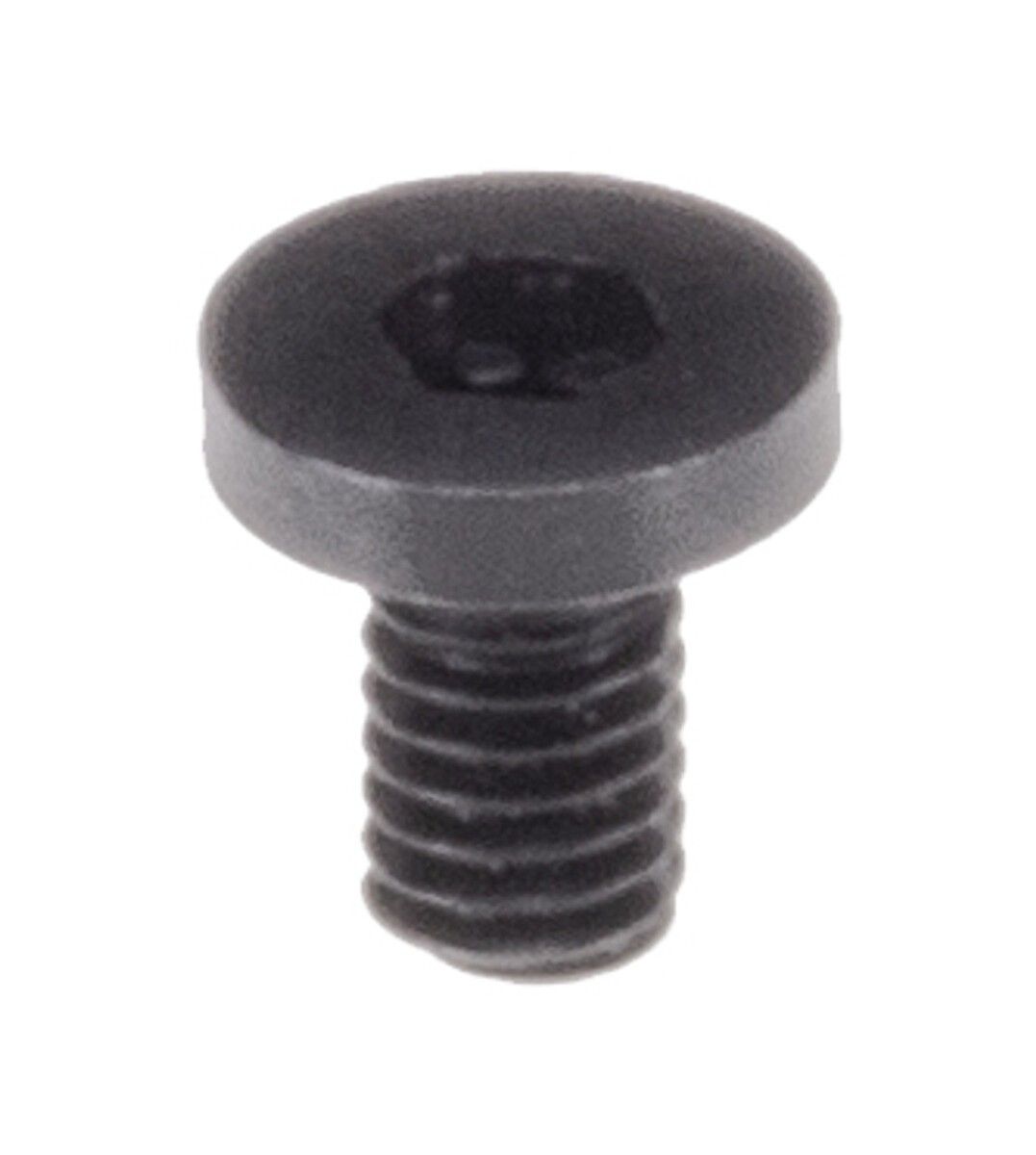 Taurus PT111G2/G2c/G2s/TX22 Front Sight Screw- NEW - FAST SHIPPING