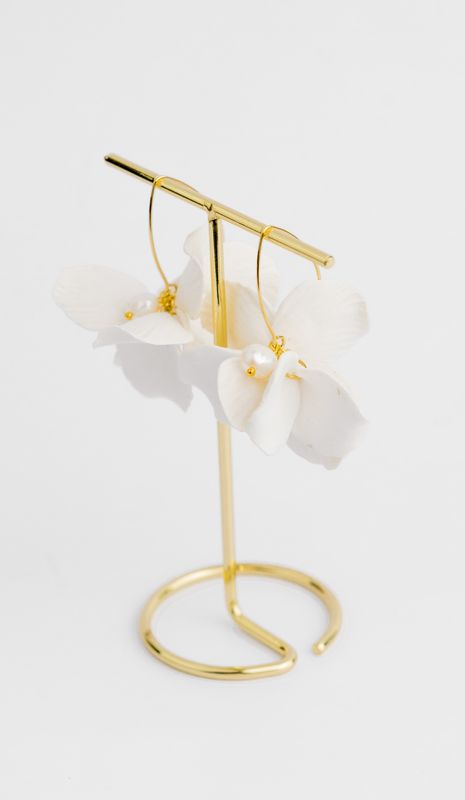 Earrings and Accessories