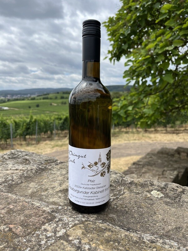 2022 Kallstadter Steinacker Grauburgunder Kabinett trocken 0,75 Liter 2022 Kallstadter Steinacker Grauburgunder Kabinett trocken 0,75 Liter
