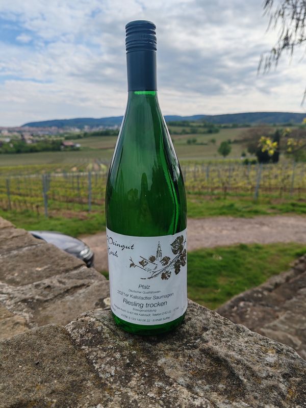 2023 Saumagen Riesling trocken