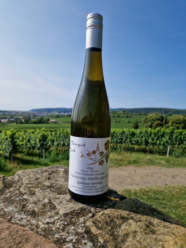 2023 Steinacker Chardonnay Weißburgunder Spätlese trocken