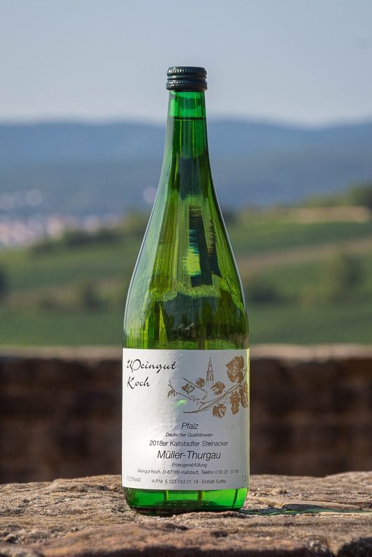2023 Steinacker Müller-Thurgau 1,0 Liter 2023 Steinacker Müller-Thurgau 1,0 Liter