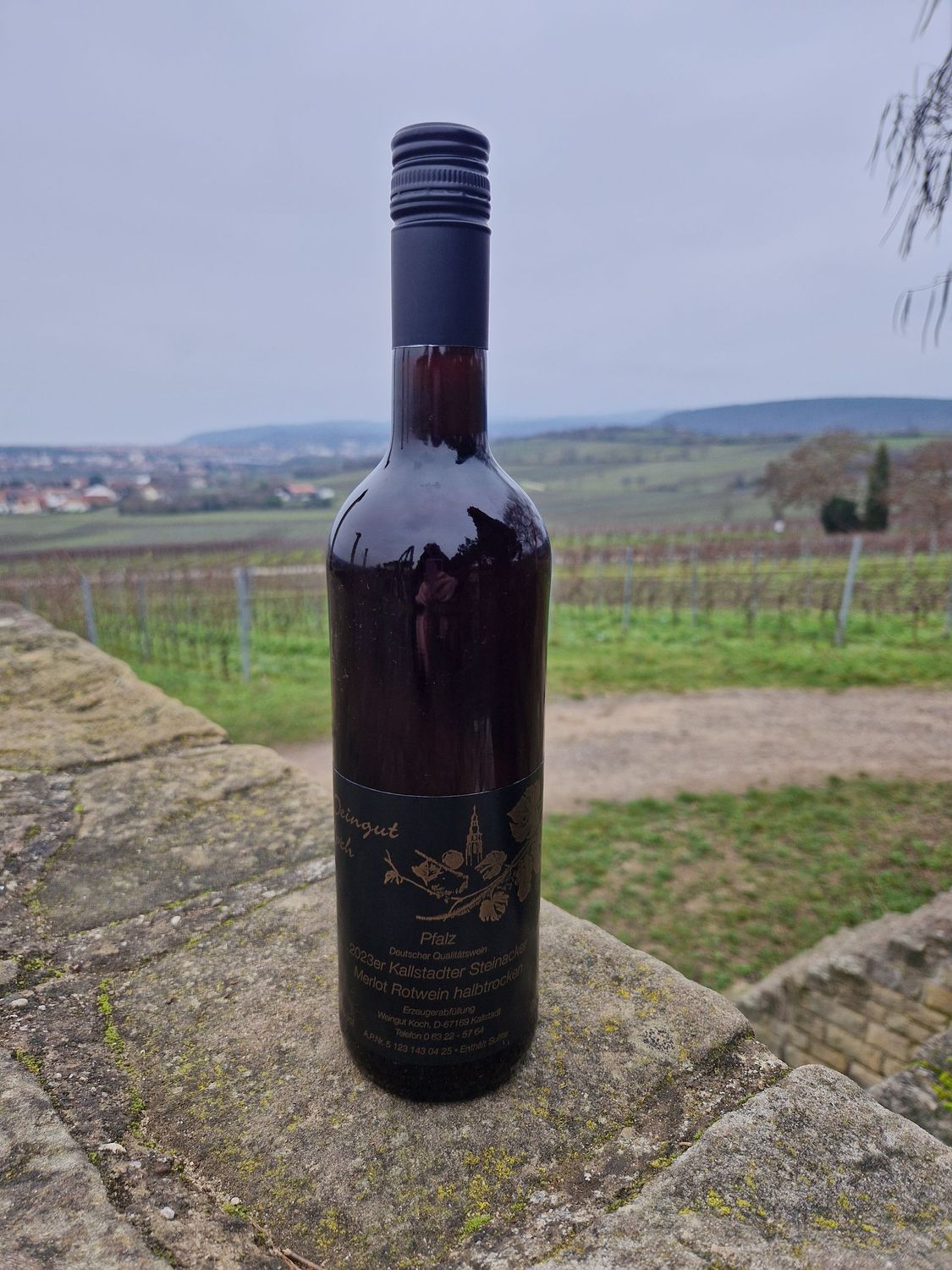 2023 Merlot  Rotwein halbtrocken