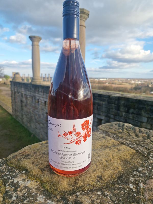2025 Merlot Rosé lieblich 2025 Merlot Rosé lieblich
