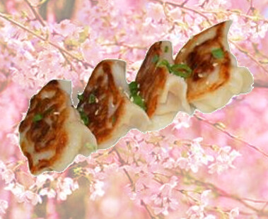 10 Gyozas de Carne con Verduras - 4p