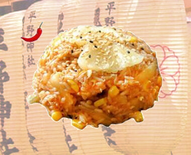 16 Arroz Especial Japonés