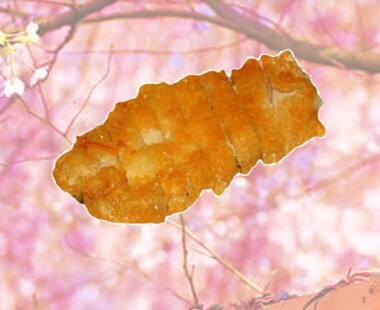 34 Pollo Kimono