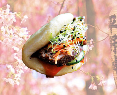 37 Ban Bao de Pato