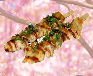 41 Pincho de Pollo