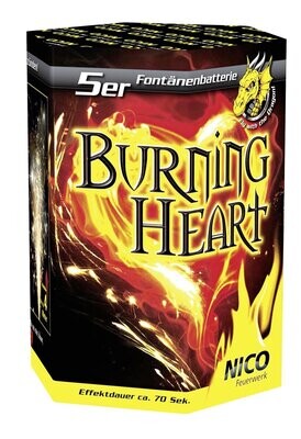Nico Burning Heart