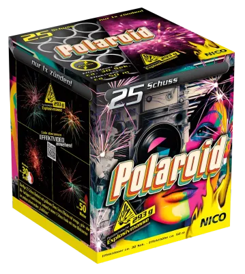 Polaroid Nico