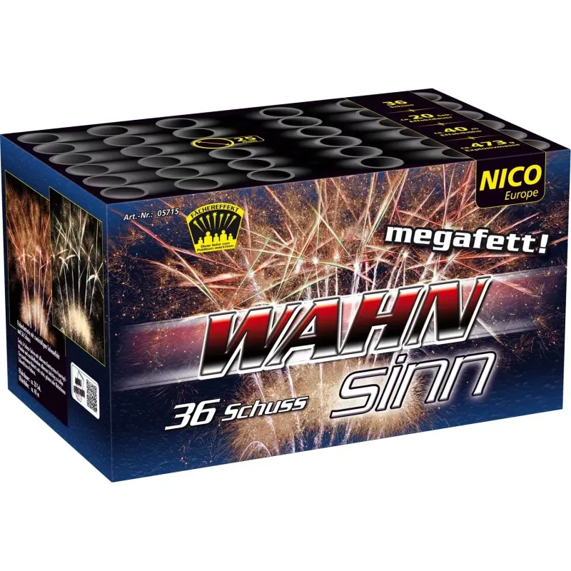 WAHNsinn, 36 Schuss. Nico