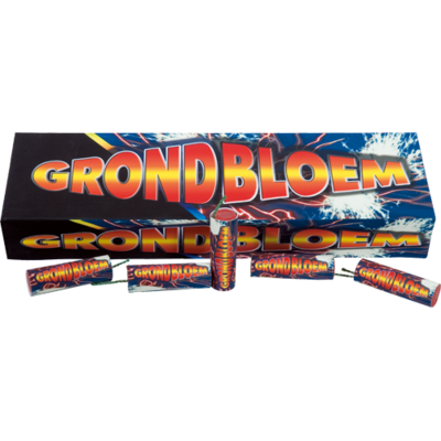 Lesli Grondbloem Lesli Grondbloem