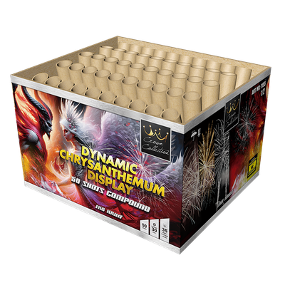 Magnum Dynamic Chrysanthemum Display Magnum Dynamic Chrysanthemum Display