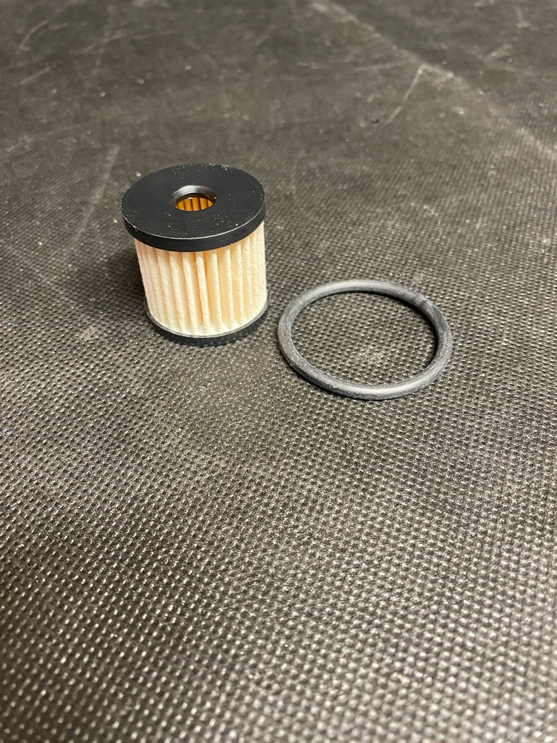 Fuel Filter Harley Motorcycles