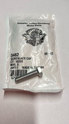 #OEM 3462 Screw Hex Cap