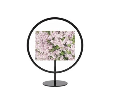 Umbra INFINITY FLOATING PICTURE FRAME