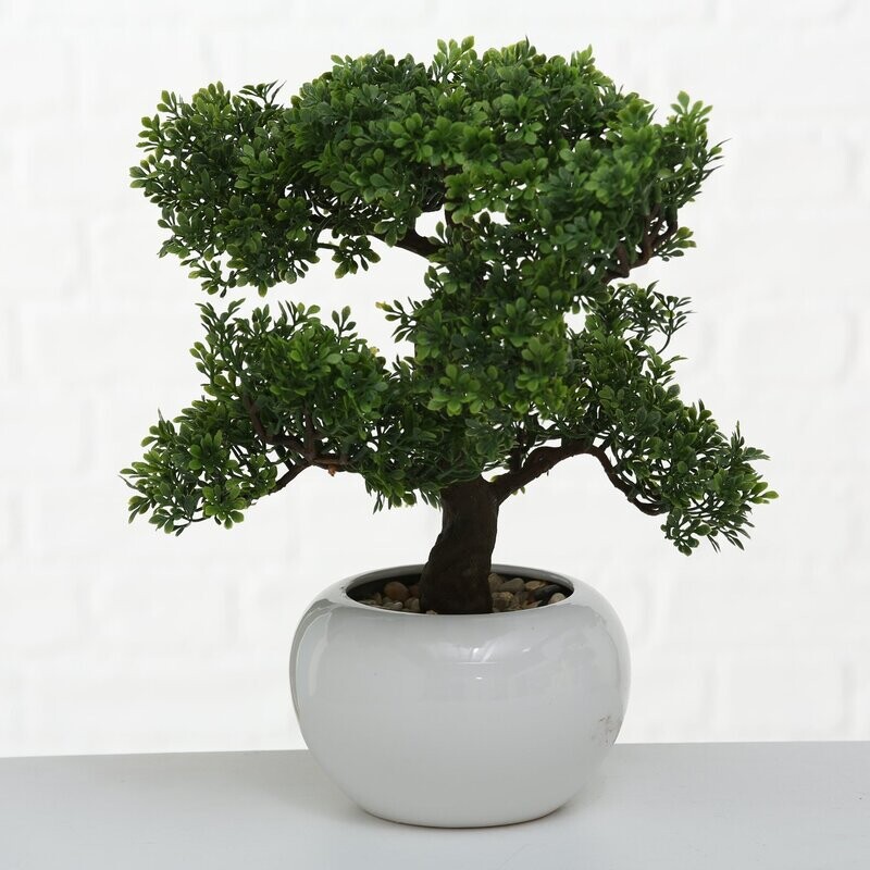 Plant Bonsai alt. 33 cm
