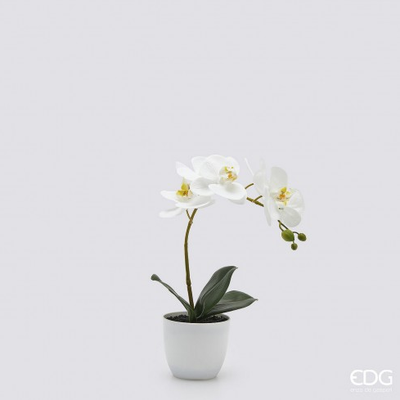 EDG Vaso Orquídea