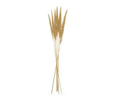 ANDREA HOUSE FLOR SECA PHRAGMITOS 75CM