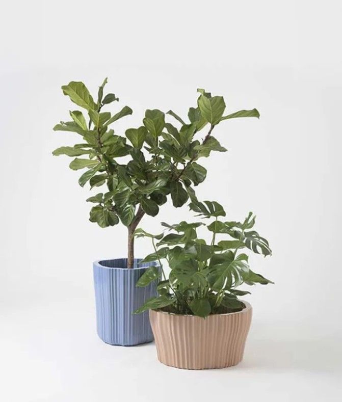 Kartell pot holder Corteza