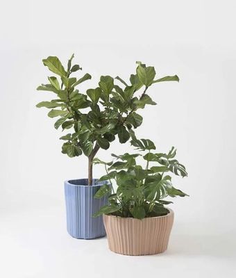 Kartell pot holder Corteza