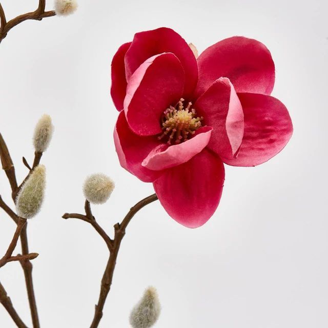 Flor Magnolia