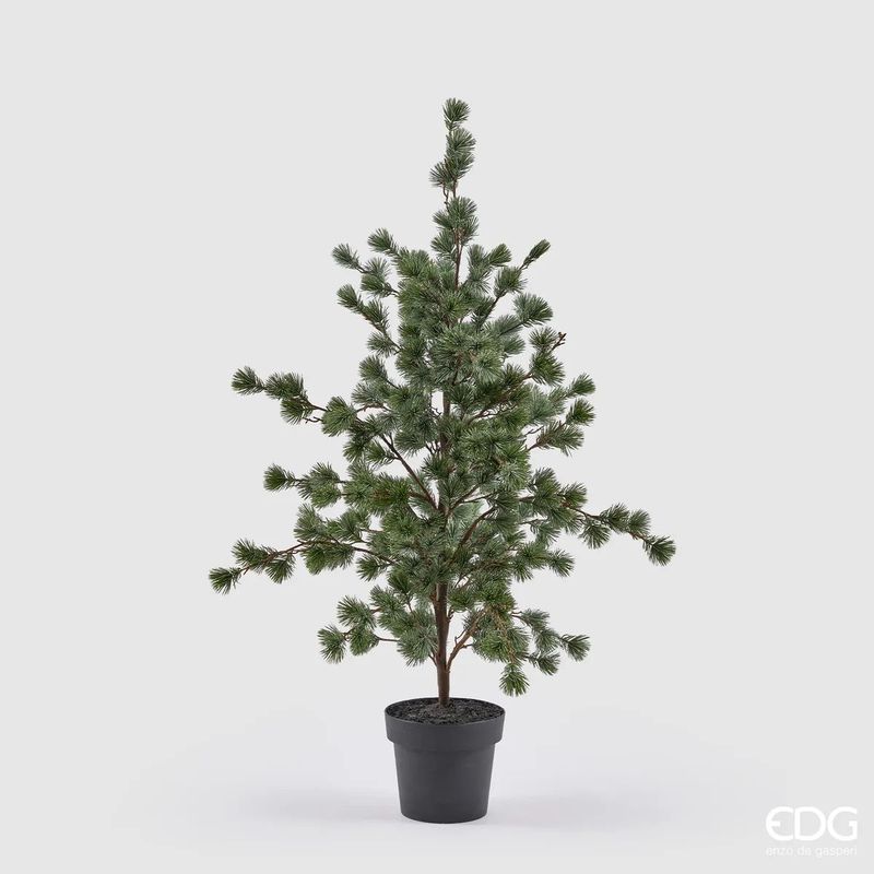 Pinheiro Cedro com vaso - Verde (médio h120)
