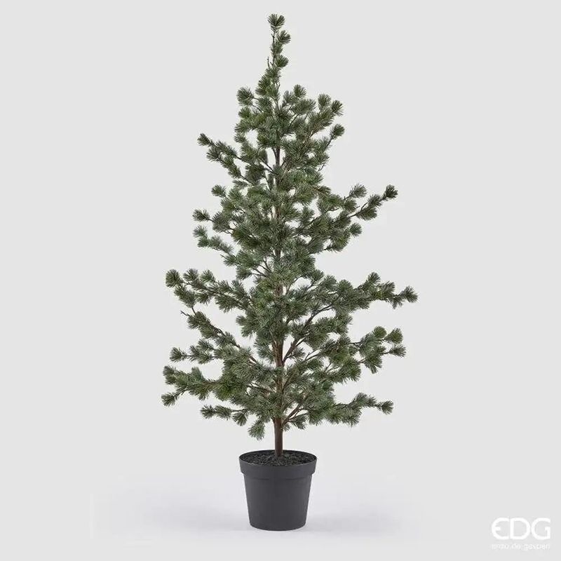 Cedro com vaso H160- Verde (grande)