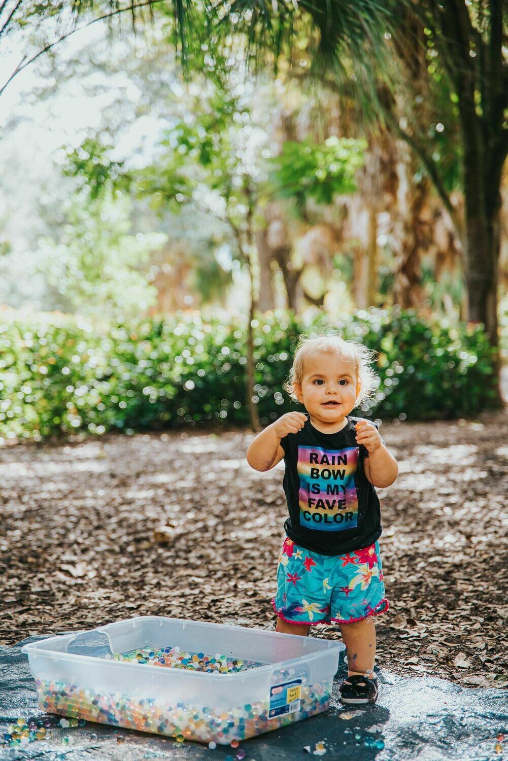 Nature PlaySchool Gift Certificates