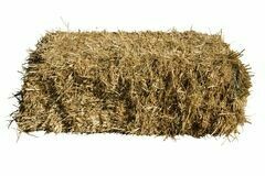 Bale of Straw