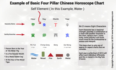 Full Chinese Horoscope Report
