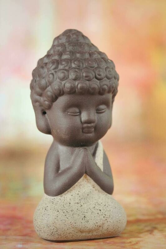 Inner Feng Shui Mindset Coaching Call