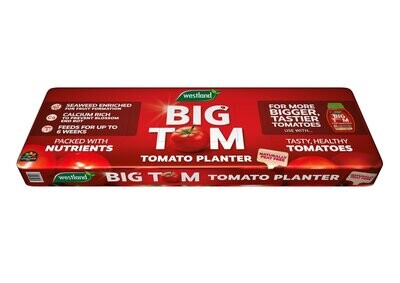 Westland Big Tom Peat Free Tomato Planter
