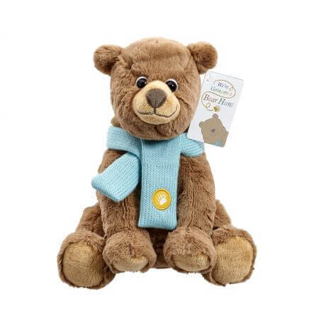Rainbow Designs | We're Going On a Bear Hunt Soft Toy