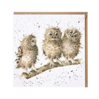 Wrendale Designs | 'You First!' Owl Card