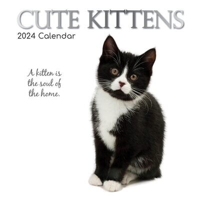 2024 Square Wall Calendar - Cute Kittens