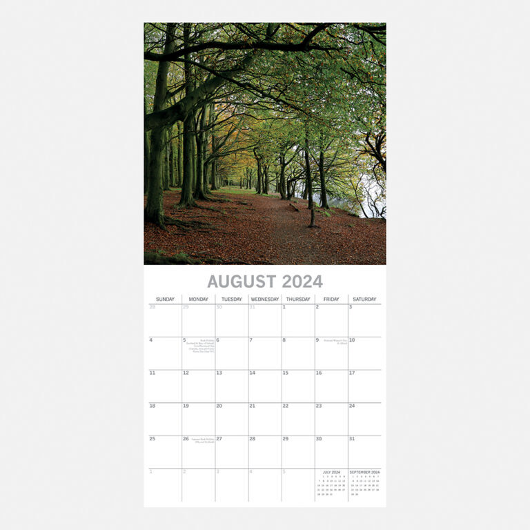 Woodland Scenes 2024 Square Wall Calendar 9781804422908 - Free Tracked  Delivery