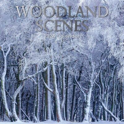 2024 Square Wall Calendar - Woodland Scenes