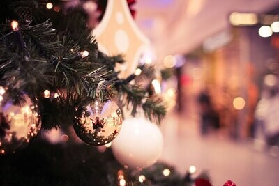 Christmas Trees
