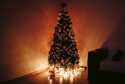 Christmas Trees