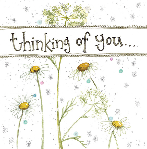 Alex Clark | Thinking Of You Daisy Card