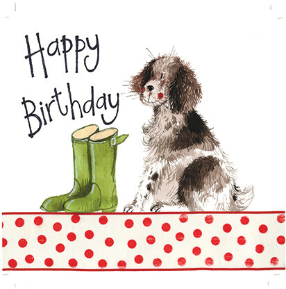 Alex Clark | Springer Spaniel Dog Birthday Card