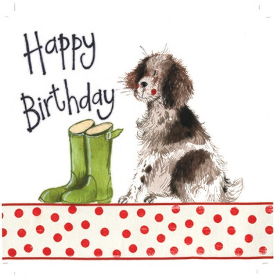 Alex Clark | Springer Spaniel Dog Birthday Card