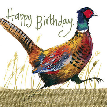 Alex Clark | Fun & Game Pheasant Birthday Card