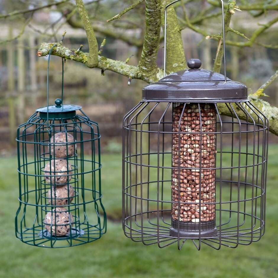 Westland | GM Squirrel Proof Peanut Feeder