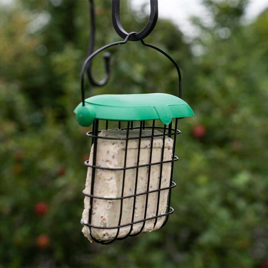 Westland | GM Flip Top Suet Feast Feeder