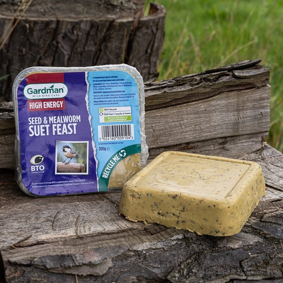 Westland | GM Seed and Mealworm Suet Feast