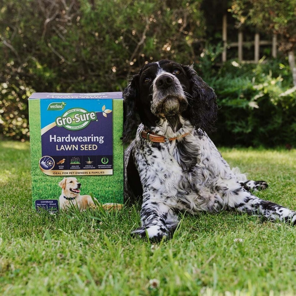 Westland |  Gro-Sure Hardwearing Lawn Seed 30m2