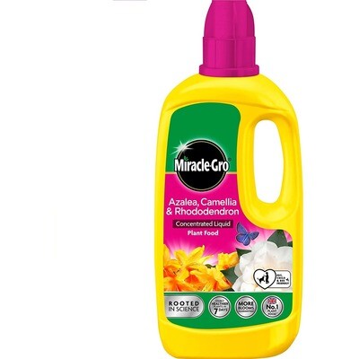 Miracle-Gro | Azalea, Camellia and Rhododendron Concentrated Soluble Plant Food 1kg